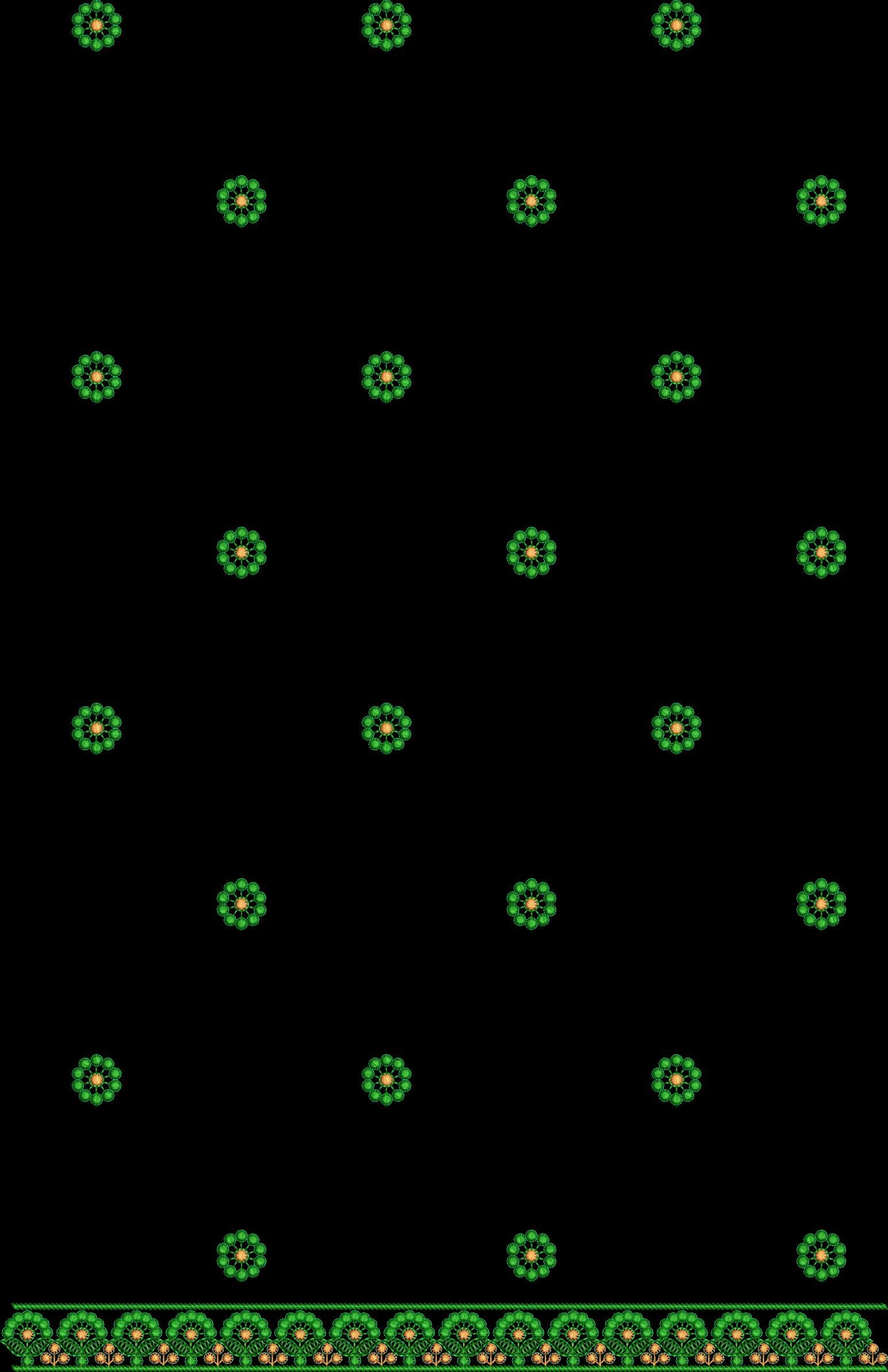C255c