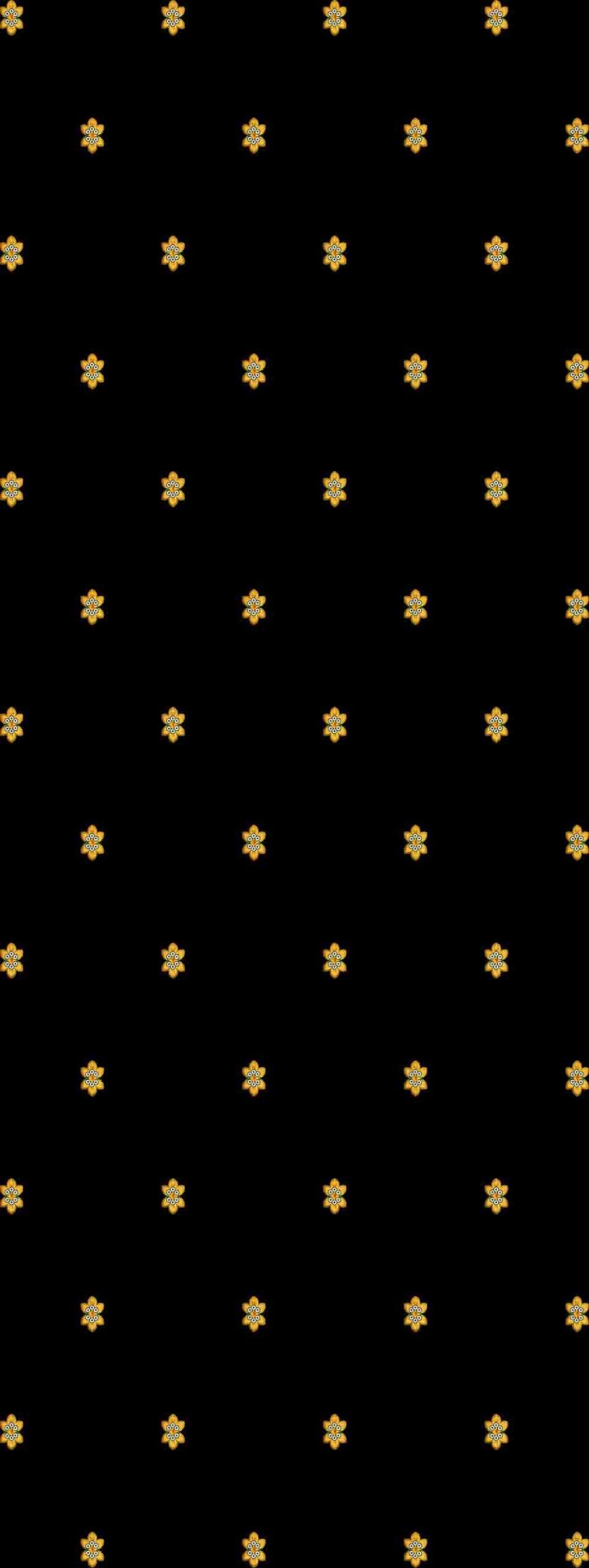 C555b